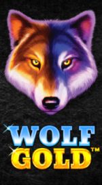 Caça Niquel Online Wolf Gold Gratis - Análise Completa, Bônus e promoções | World Casino Expert Brasil