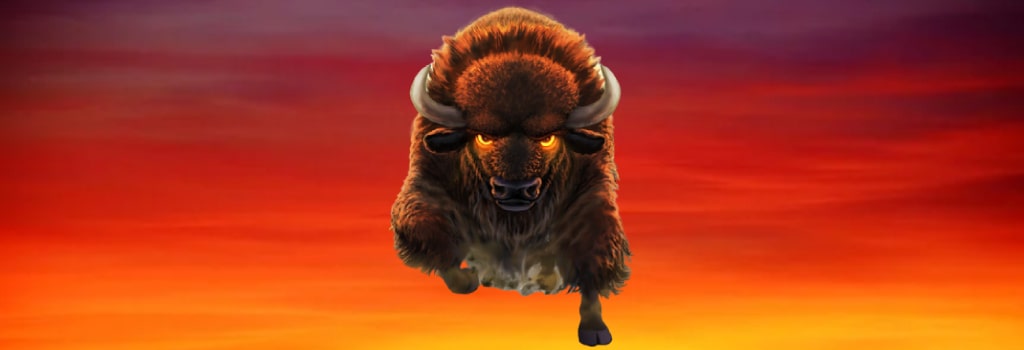 Jogar Buffalo – análise, bônus | World Casino Expert Brasil