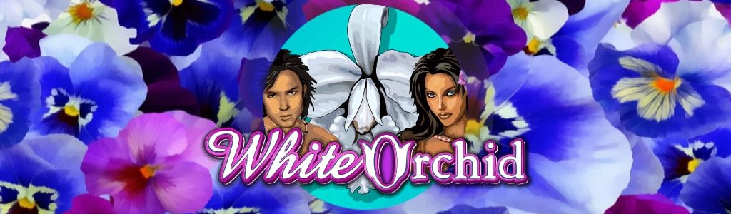 Caça Niquel Online White Orchid Gratis - Análise Completa, Bônus e promoções | World Casino Expert Brasil