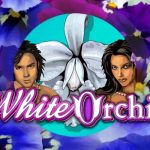 Caça Niquel Online White Orchid Gratis - Análise Completa, Bônus e promoções | World Casino Expert Brasil