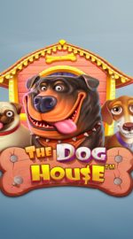 Caça Niquel Online The Dog House Gratis - Análise Completa, Bônus e promoções | World Casino Expert Brasil
