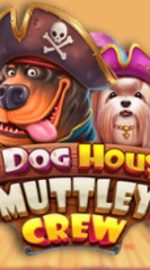 Caça Niquel Online The Dog House Muttley Crew Gratis - Análise Completa, Bônus e promoções | World Casino Expert Brasil